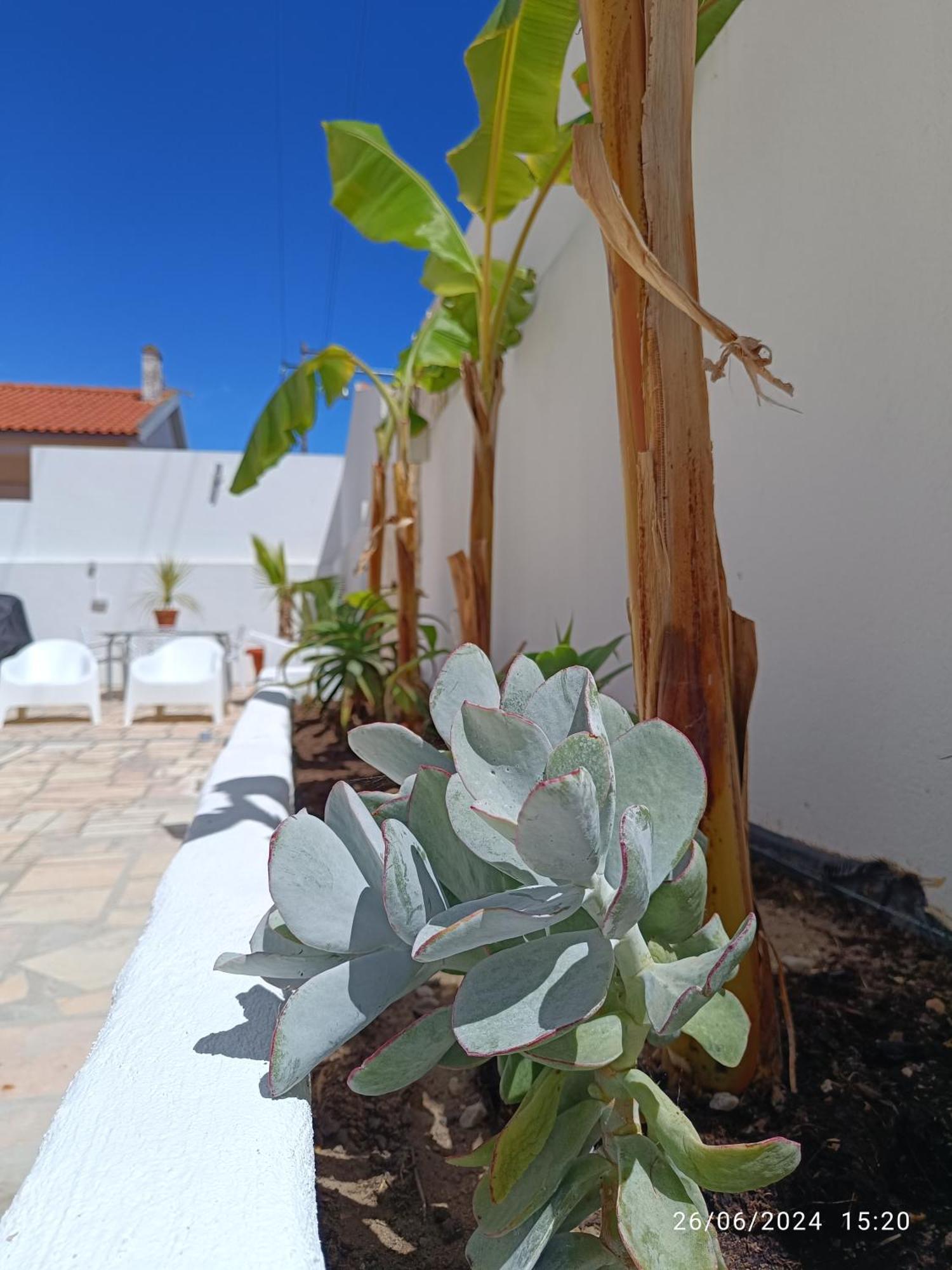 Supertubos House Peniche Bed & Breakfast Атогия да Балея Екстериор снимка